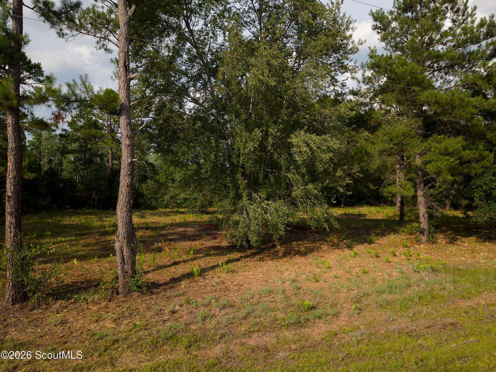 1 Acre of Residential Land for Sale in Folkston, Georgia