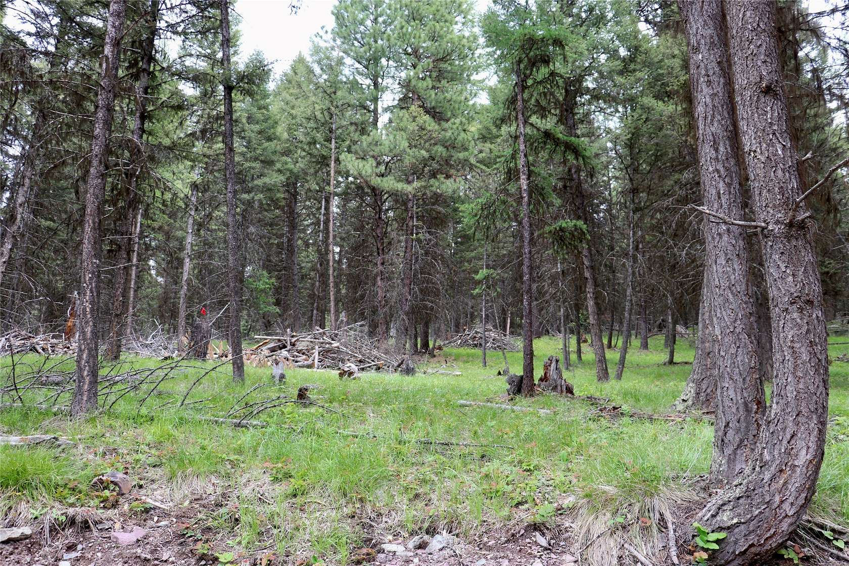 2.32 Acres of Land for Sale in Seeley Lake, Montana