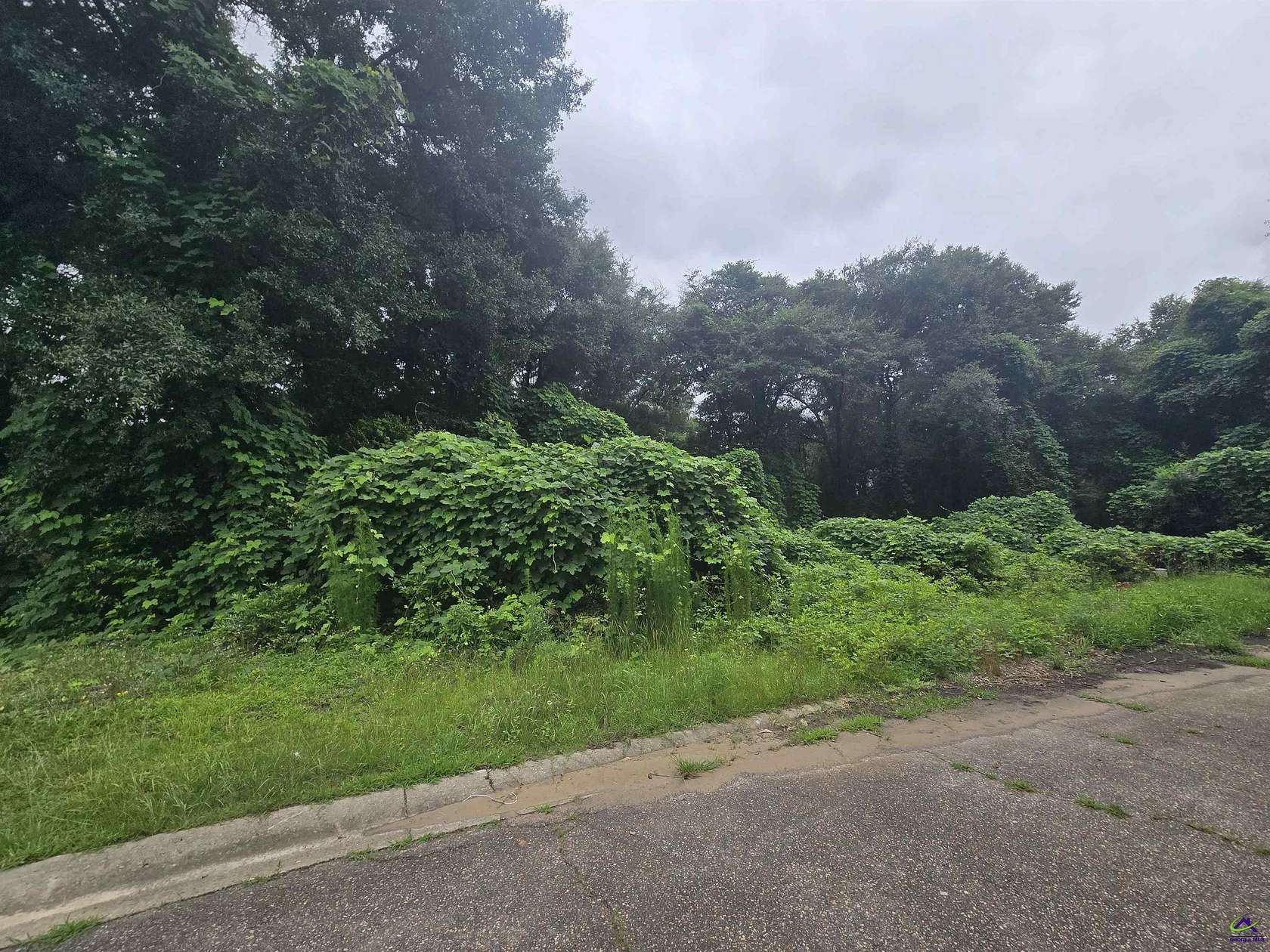 0.36 Acres of Residential Land for Sale in Perry, Georgia