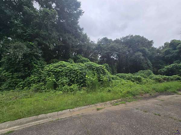 0.36 Acres of Residential Land for Sale in Perry, Georgia