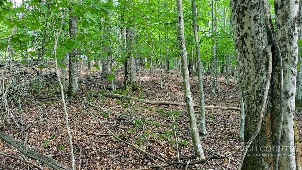 0.39 Acres of Land for Sale in Beech Mountain, North Carolina