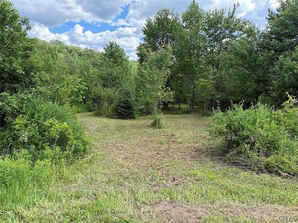 11 Acres of Recreational & Residential Land for Sale in Franklinville, New York