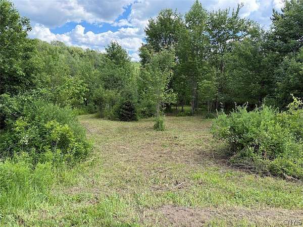 11 Acres of Recreational & Residential Land for Sale in Franklinville, New York