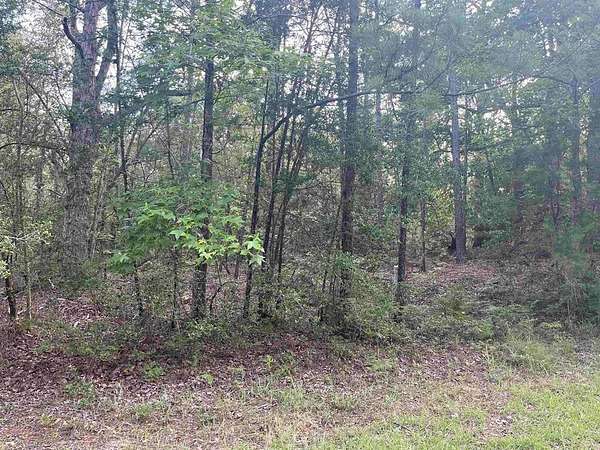 0.69 Acres of Land for Sale in Brookeland, Texas