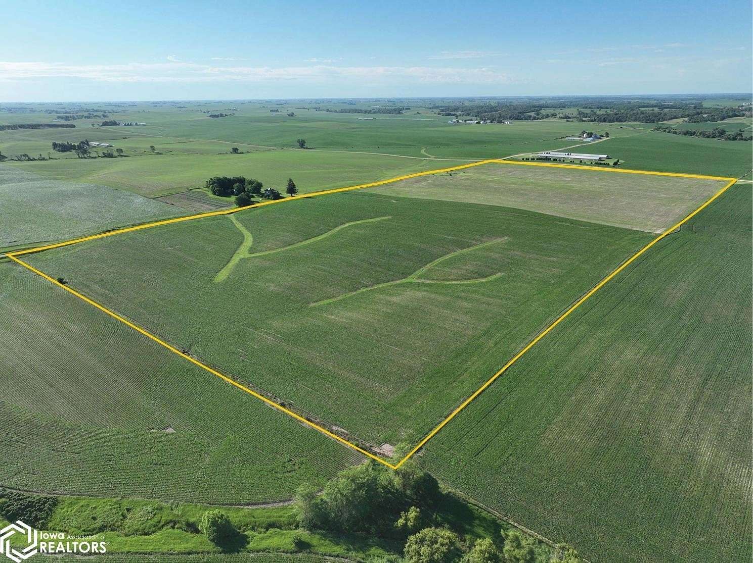 80 Acres of Agricultural Land for Sale in Tipton, Iowa