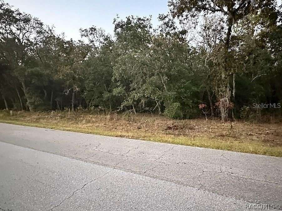 1 Acre of Residential Land for Sale in Hernando, Florida