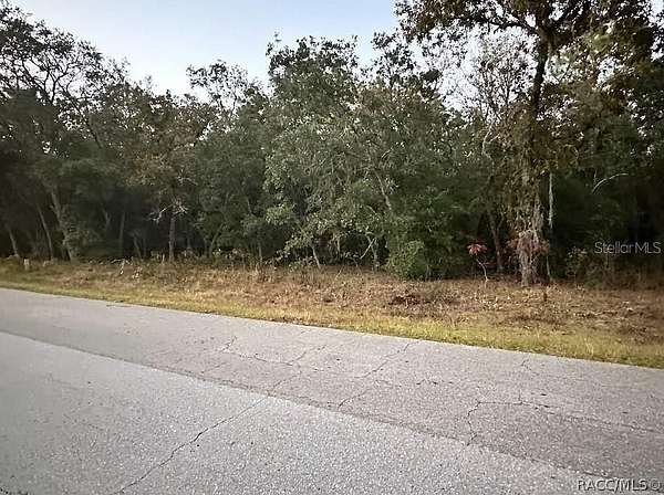 1 Acre of Residential Land for Sale in Hernando, Florida