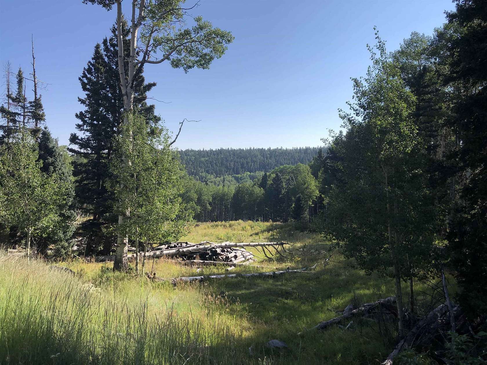 10 Acres of Recreational & Residential Land for Sale in Black Lake, New Mexico