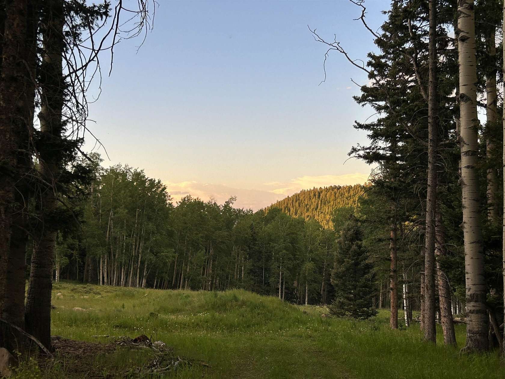 10 Acres of Recreational & Residential Land for Sale in Black Lake, New Mexico