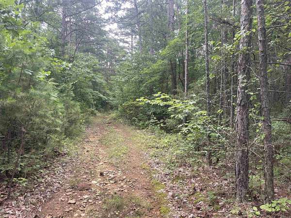 24.4 Acres of Recreational & Residential Land for Sale in Clinton, Arkansas