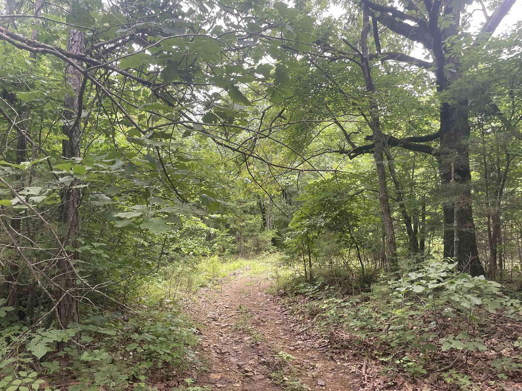 16.7 Acres of Recreational & Residential Land for Sale in Clinton, Arkansas