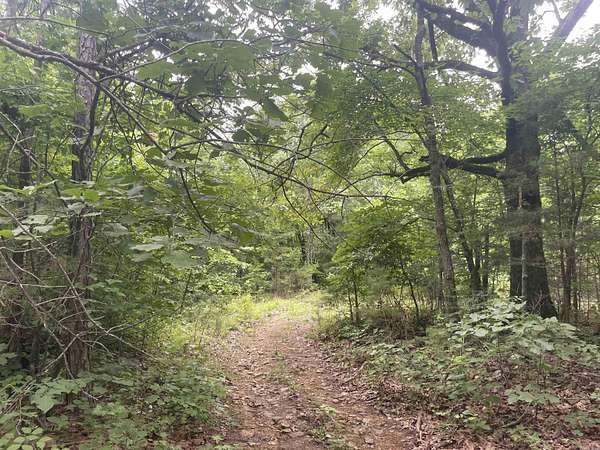 16.7 Acres of Recreational & Residential Land for Sale in Clinton, Arkansas