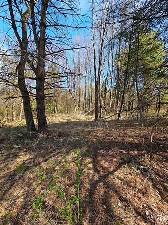 0.3 Acres of Residential Land for Sale in Athens, New York