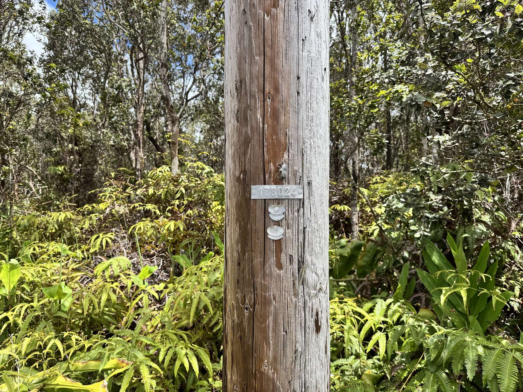 0.46 Acres of Residential Land for Sale in Volcano, Hawaii