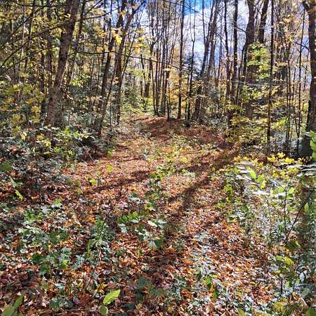 38.3 Acres of Recreational Land for Sale in Eden, Vermont