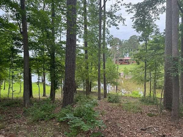 0.64 Acres of Residential Land for Sale in Broaddus, Texas