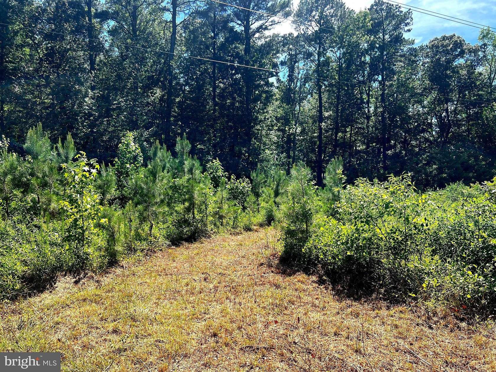 11.6 Acres of Recreational & Residential Land for Sale in Hebron, Maryland