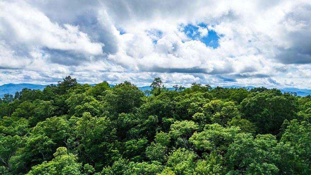 16.5 Acres of Land for Sale in Bryson City, North Carolina