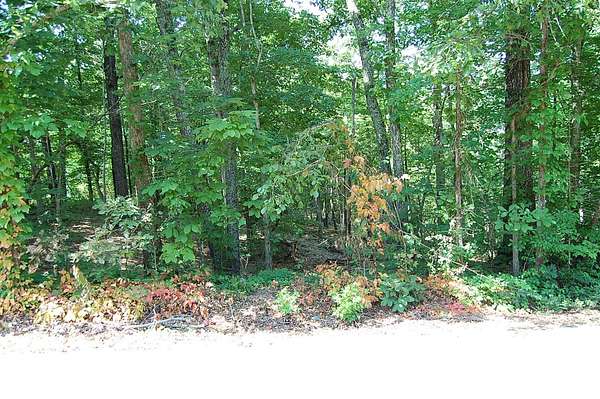 0.6 Acres of Residential Land for Sale in Dunlap, Tennessee