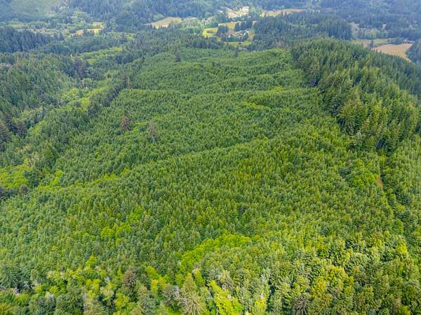 198 Acres of Recreational Land for Sale in Yachats, Oregon
