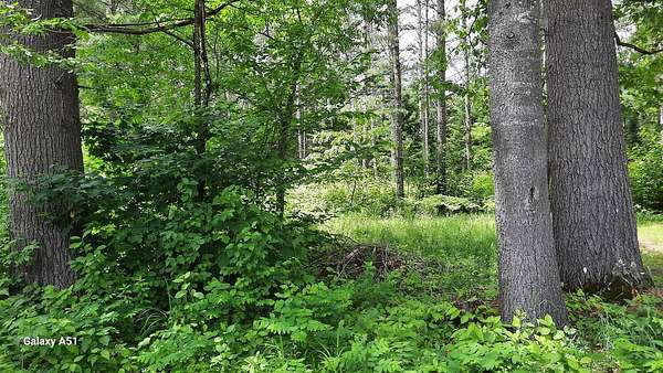 0.71 Acres of Residential Land for Sale in Speculator, New York