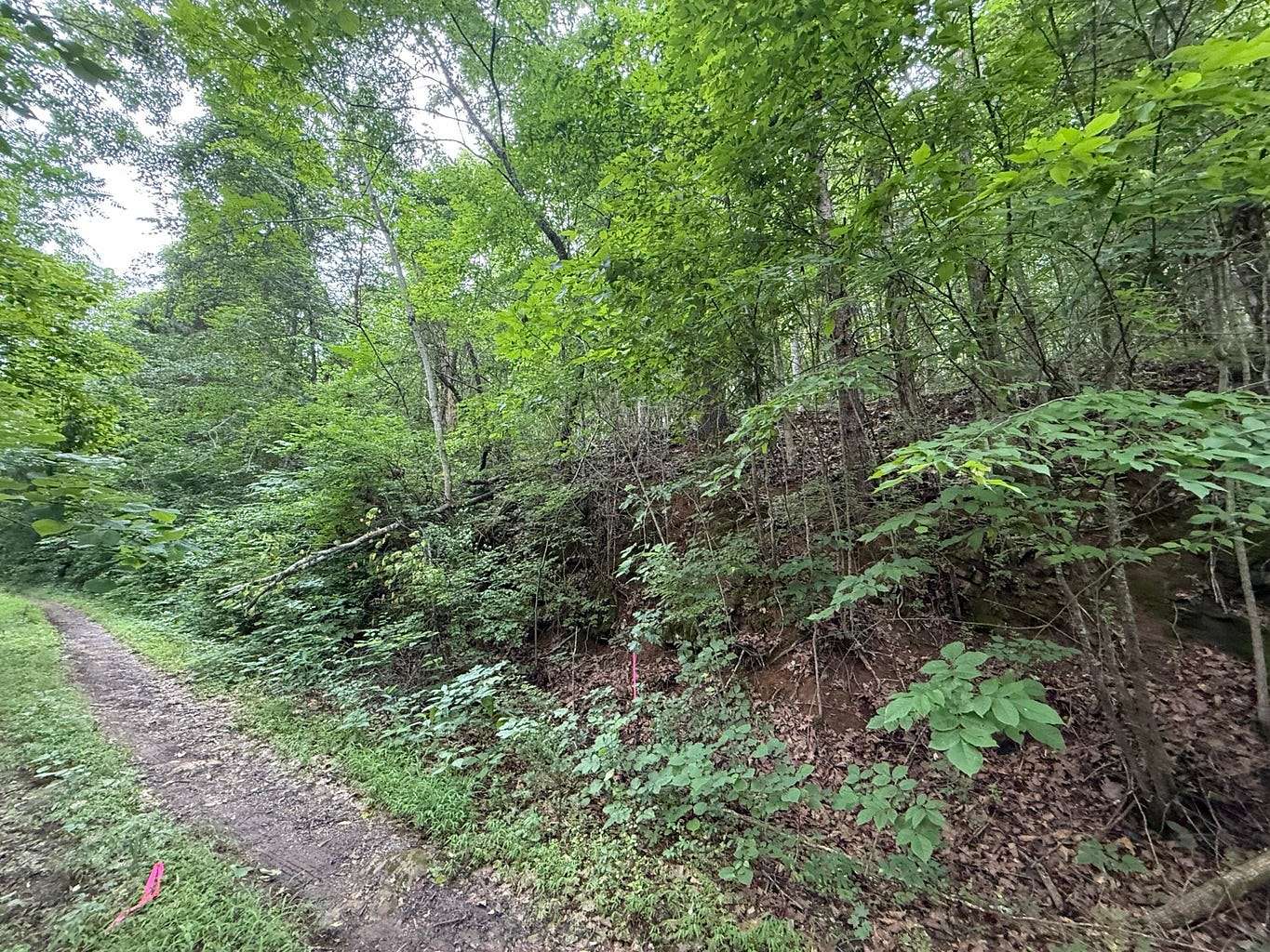 2.34 Acres of Residential Land for Sale in Baneberry, Tennessee
