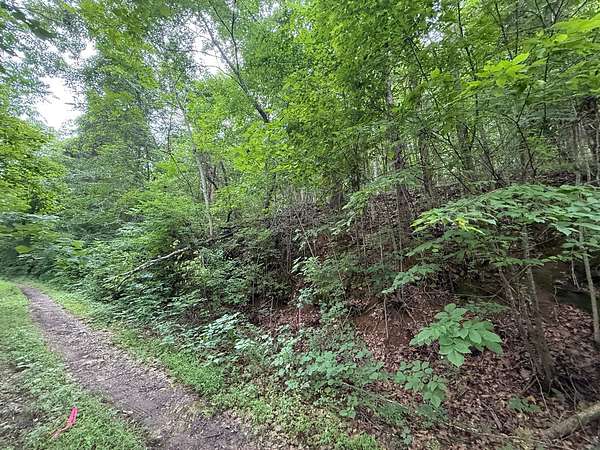 2.34 Acres of Residential Land for Sale in Baneberry, Tennessee