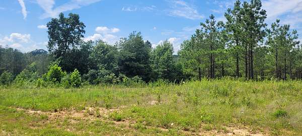9.5 Acres of Residential Land for Sale in Dover, Tennessee