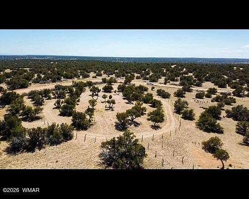 9.3 Acres of Residential Land for Sale in St. Johns, Arizona