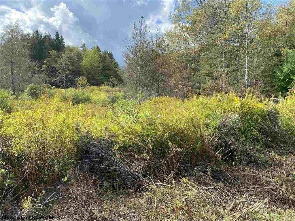 1 Acre of Residential Land for Sale in Davis, West Virginia