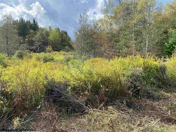 1 Acre of Residential Land for Sale in Davis, West Virginia