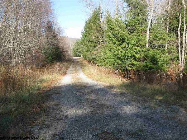 1 Acre of Residential Land for Sale in Davis, West Virginia
