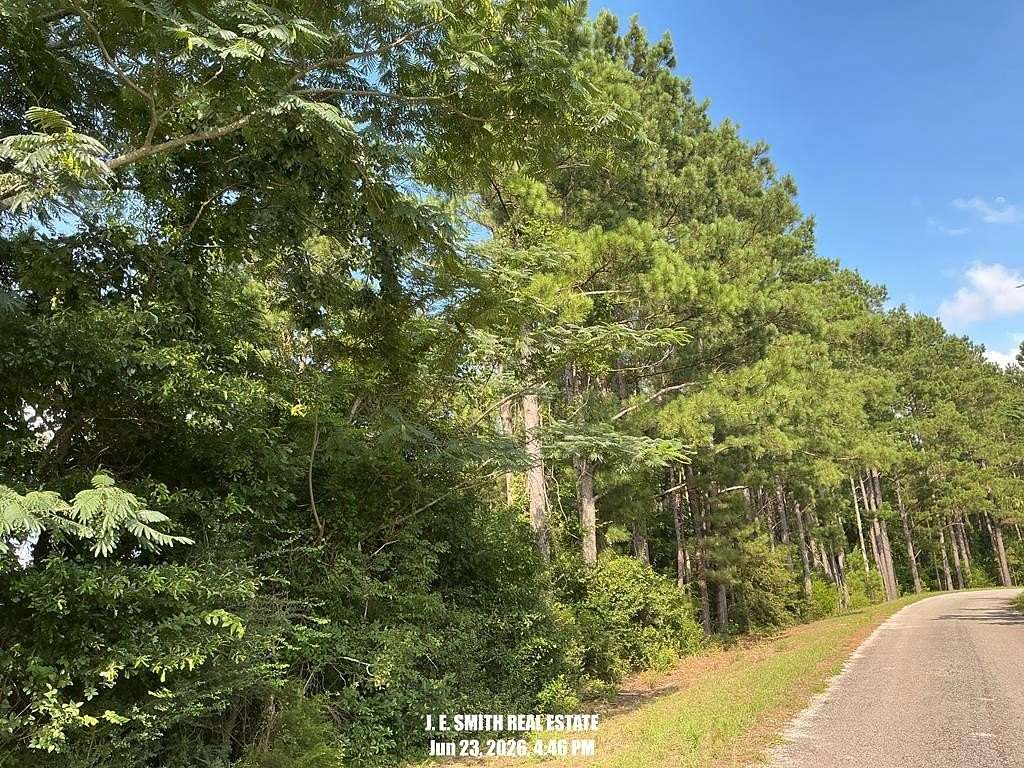 25.5 Acres of Recreational & Residential Land for Sale in Rose Hill, Mississippi