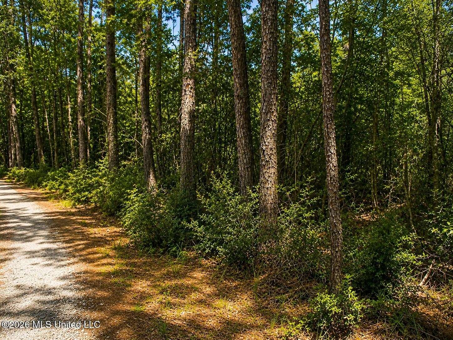 22 Acres of Land for Sale in Franklinton, Louisiana
