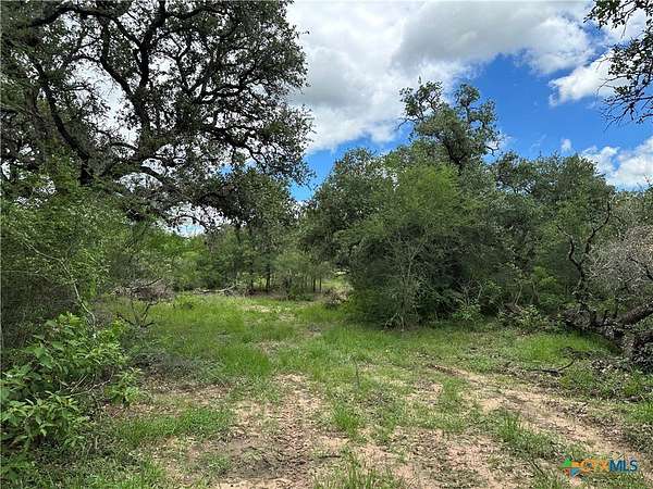 20 Acres of Recreational & Residential Land for Sale in Meyersville, Texas