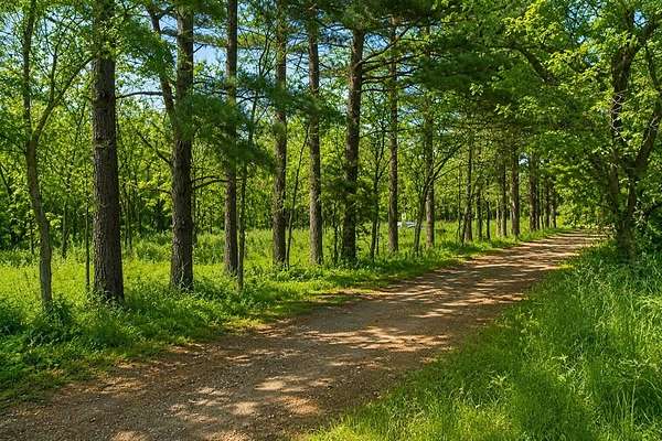 9.87 Acres of Residential Land for Sale in Ardmore, Oklahoma