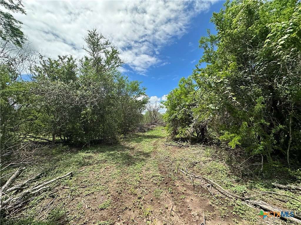 23.7 Acres of Recreational & Residential Land for Sale in Meyersville, Texas