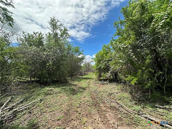 23.7 Acres of Recreational & Residential Land for Sale in Meyersville, Texas