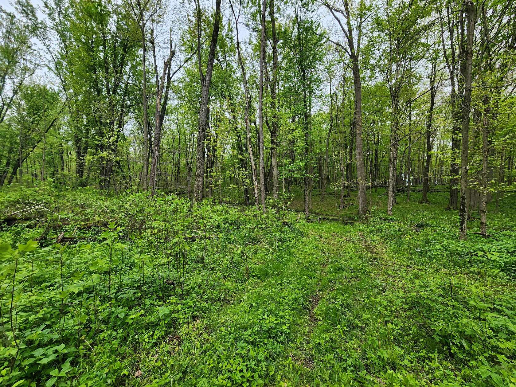 74 Acres of Land for Sale in Constantine, Michigan