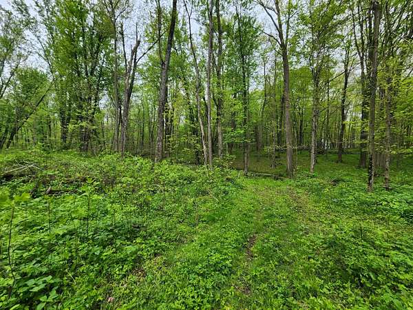 74 Acres of Land for Sale in Constantine, Michigan