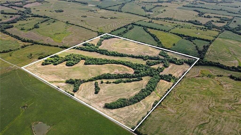 160 Acres of Land for Sale in Braymer, Missouri