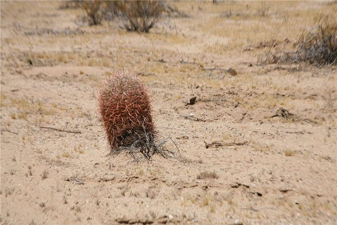 2.1 Acres of Residential Land for Sale in Yucca, Arizona