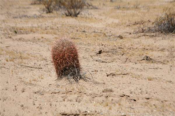2.1 Acres of Residential Land for Sale in Yucca, Arizona