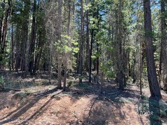 2.29 Acres of Residential Land for Sale in Hayfork, California