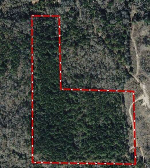17 Acres of Recreational Land for Sale in Cuba, Alabama