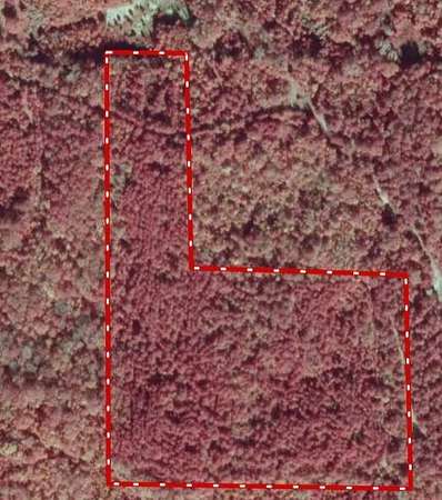 17 Acres of Recreational Land for Sale in Cuba, Alabama
