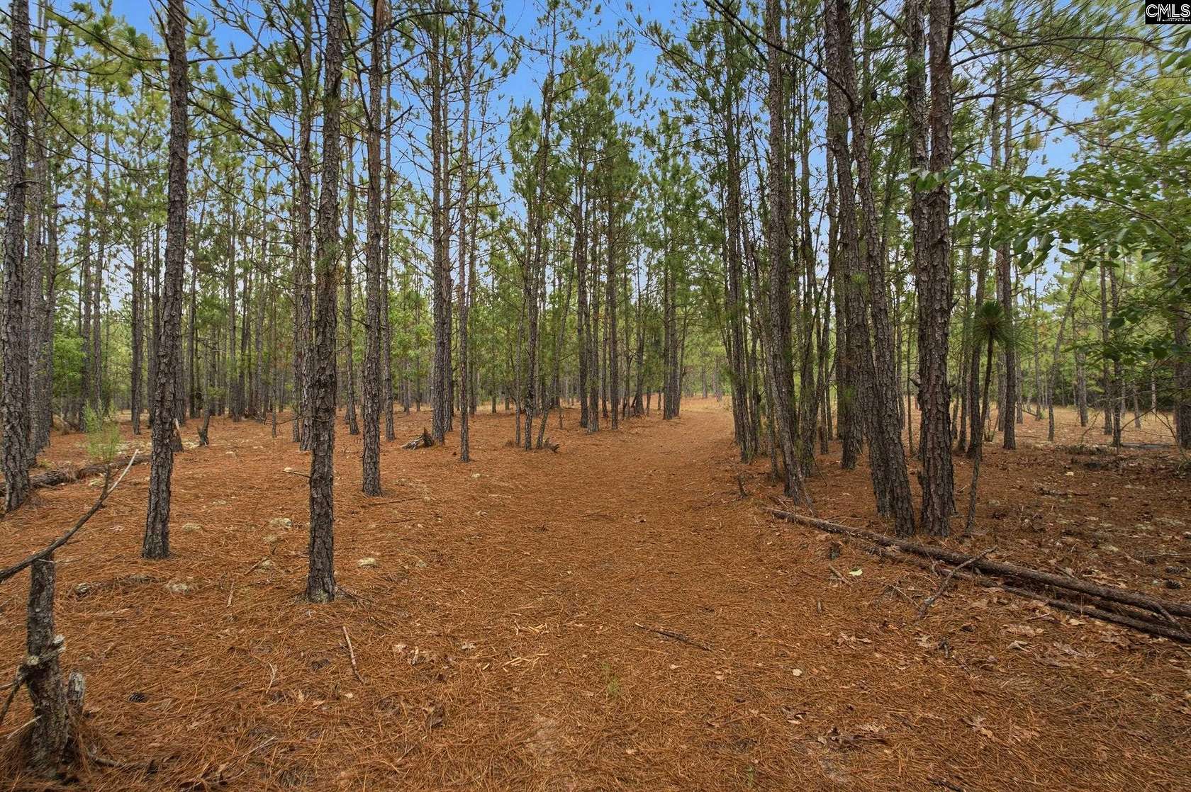 147 Acres of Recreational & Residential Land for Sale in Kershaw, South Carolina