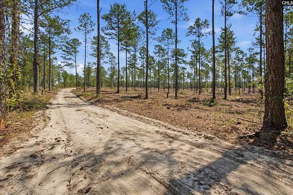 147 Acres of Recreational & Residential Land for Sale in Kershaw, South Carolina