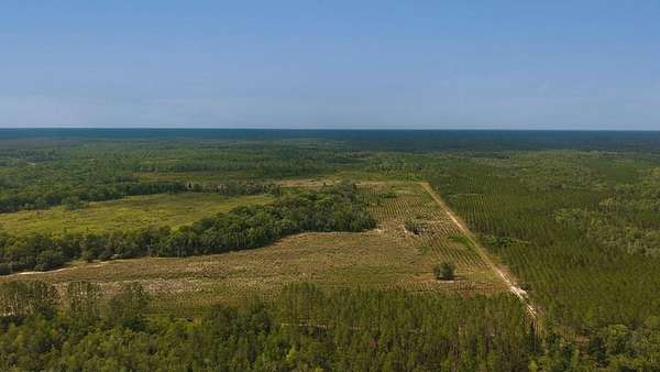 639 Acres of Recreational Land for Sale in Old Town, Florida