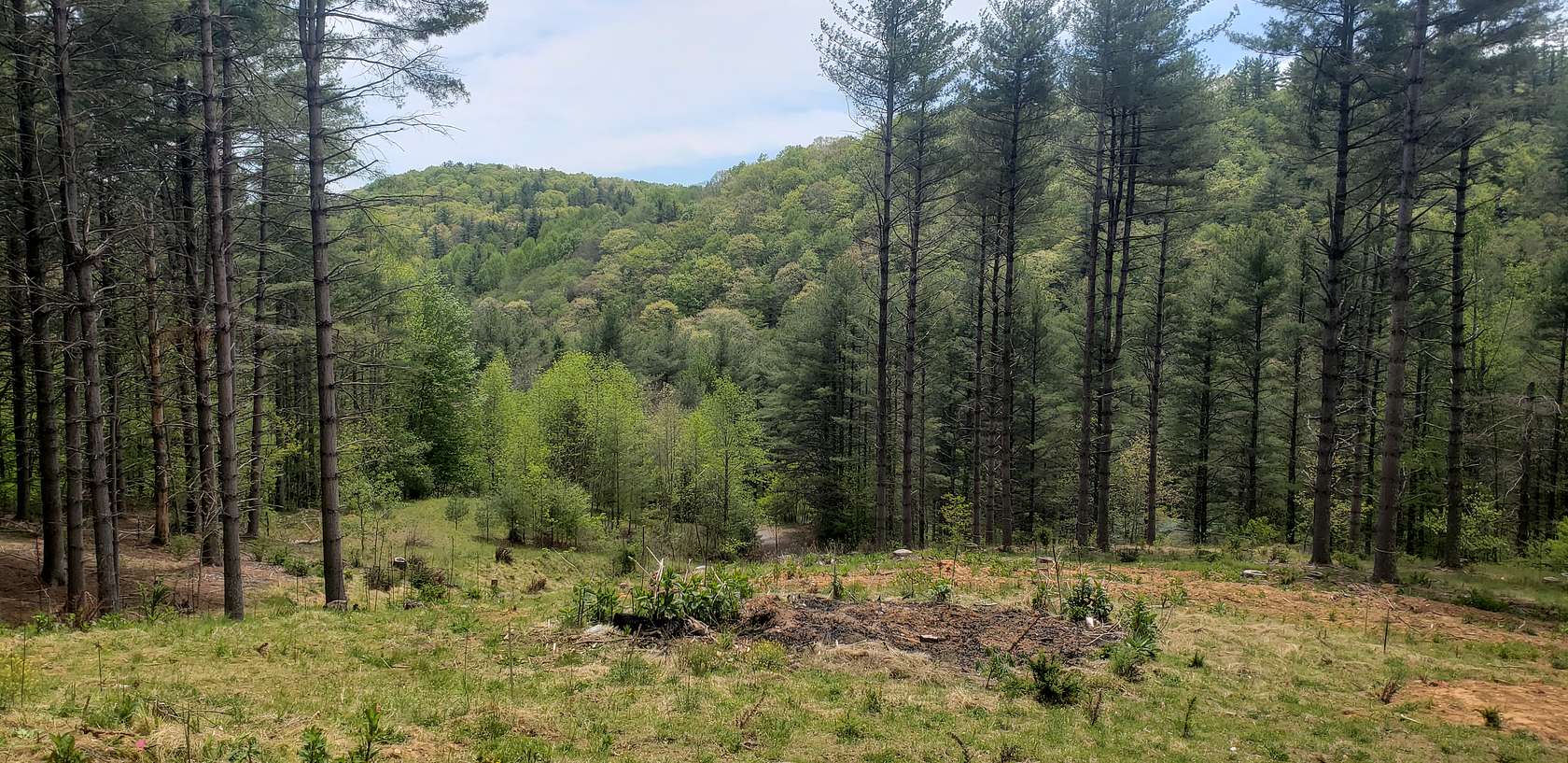 1.56 Acres of Residential Land for Sale in Fleetwood, North Carolina